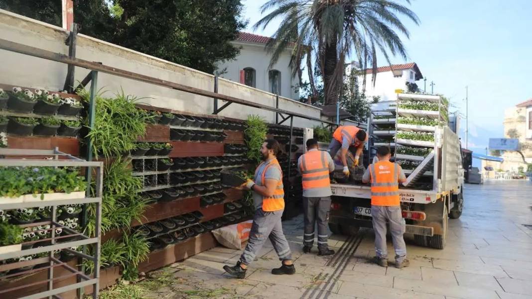 Antalya’ya Kış 4 Milyon Çiçekle Rengarenk Gelecek! 7